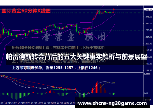 帕雷德斯转会背后的五大关键事实解析与前景展望